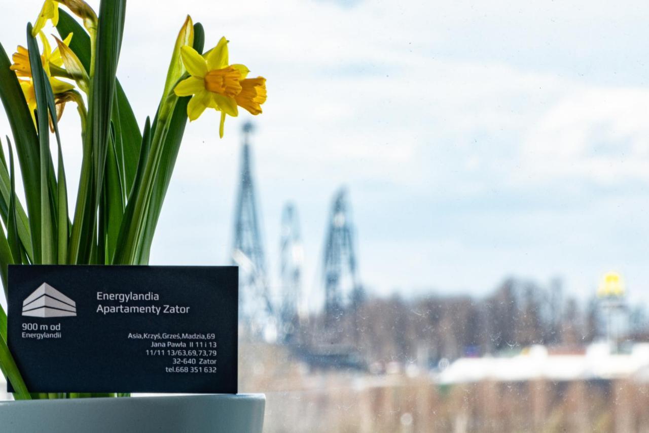 Energylandia Zator Apartament Grzes Экстерьер фото
